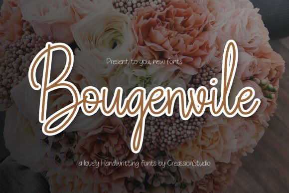 Bougenvile: A Script Amp Font That Feels Like Hand-Drawn Charm