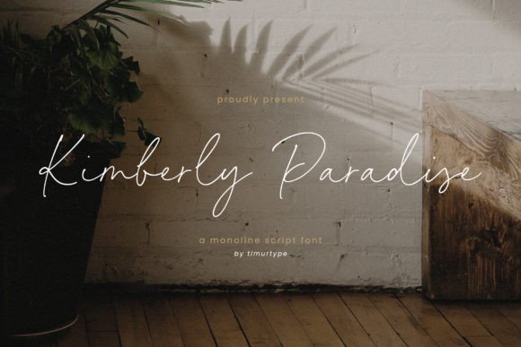 Kimberly Paradise: A Designer’s Real-World Review